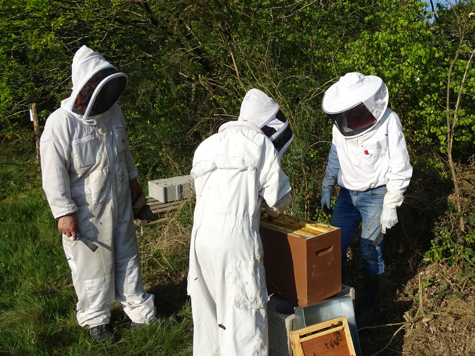 Abeille Noire Atlantique - Formation